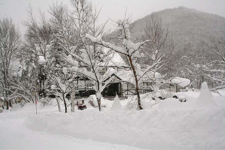d0012134_002511.jpg
