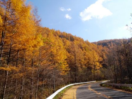 755km、静岡からやってきました~新人移住スタッフの手記_b0206037_1216343.jpg