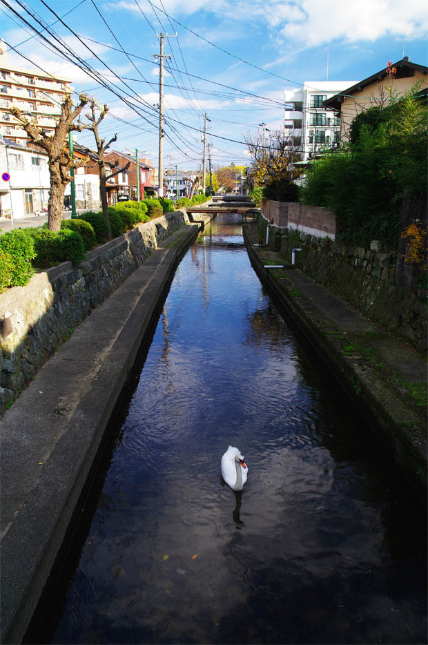 紺屋町／冬の使者、ゆうゆう_f0227938_11172795.jpg