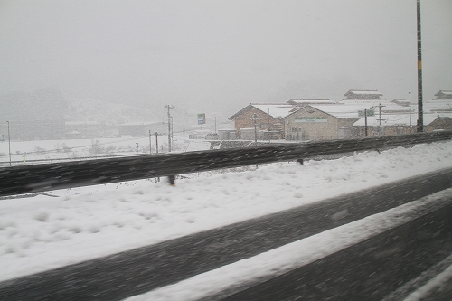 c0240541_1611883.jpg