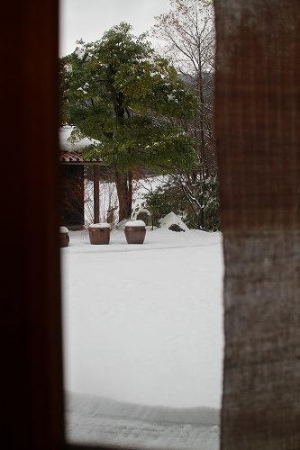 c0240541_1613979.jpg