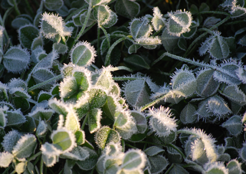 c0085543_5245737.jpg