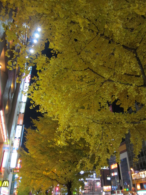 e0018143_0514899.jpg