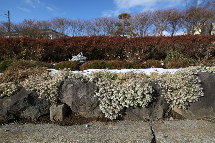 c0035245_046421.jpg