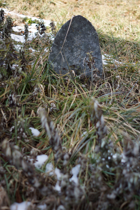 c0035245_0473798.jpg