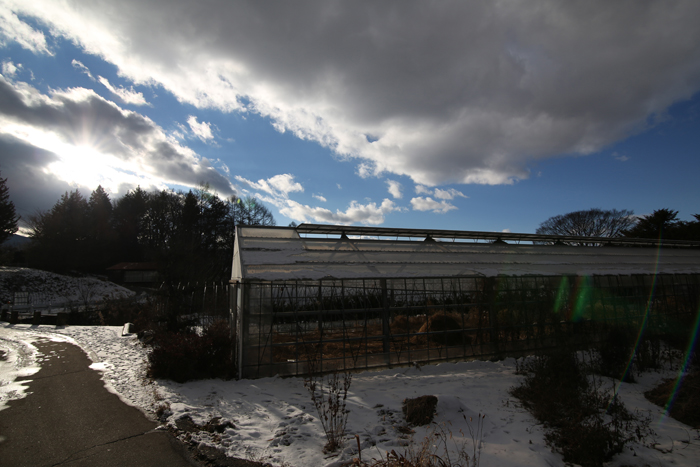 c0035245_2312725.jpg