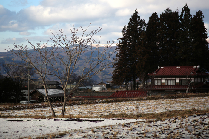 c0035245_2524432.jpg