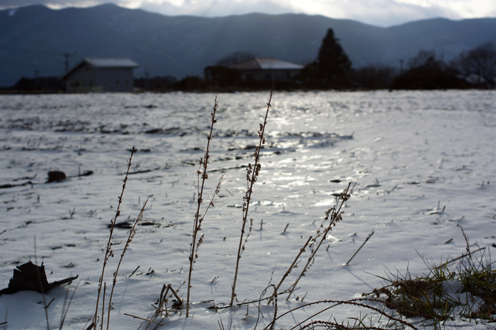 c0035245_30133.jpg