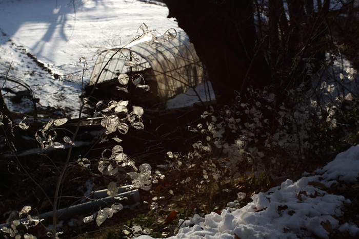 c0035245_3104591.jpg