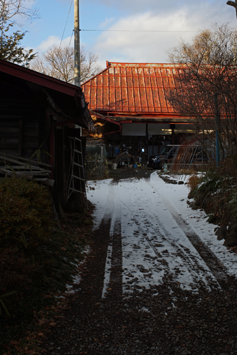 c0035245_3132982.jpg