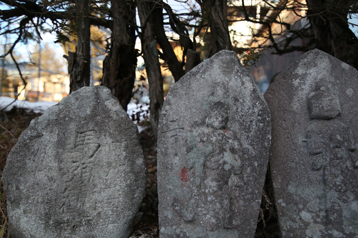 c0035245_317298.jpg