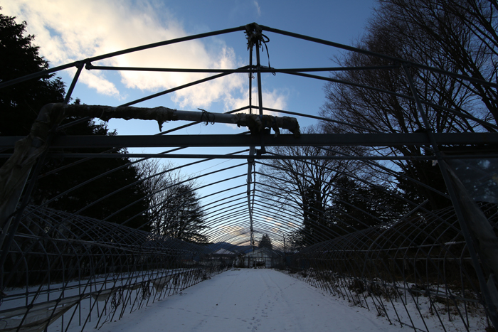 c0035245_3253340.jpg