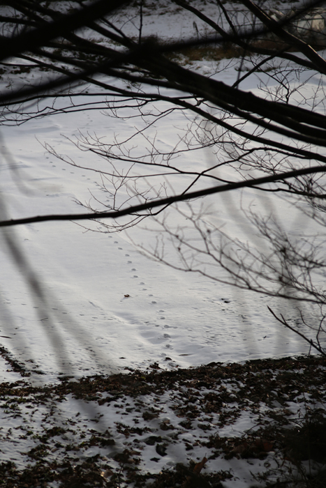 c0035245_391278.jpg