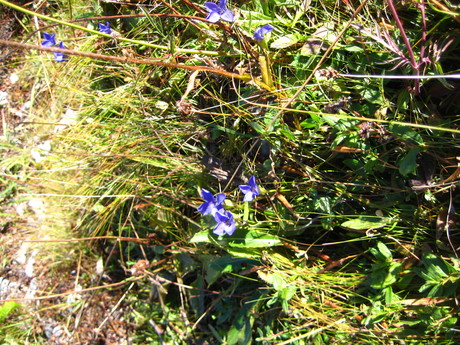 c0209845_22491142.jpg