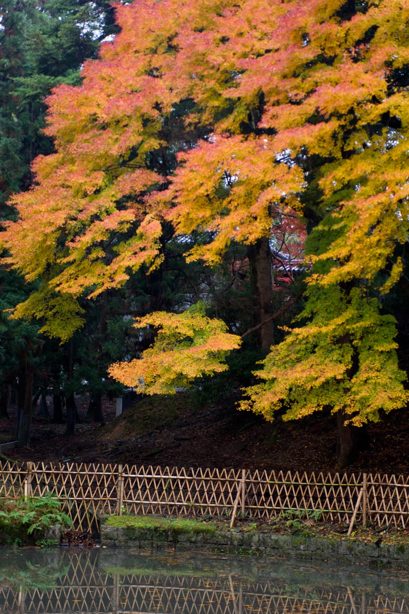 ◆東大寺　紅葉巡り_b0023047_6204.jpg