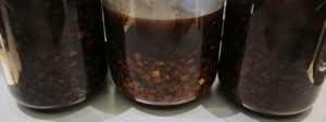 f0190653_8362826.jpg