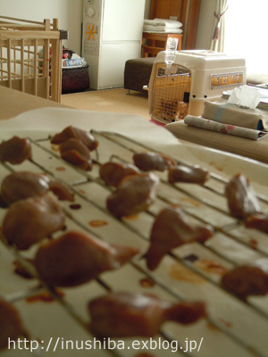 犬の手づくりおやつ 砂肝ジャーキー編 Yamatoのひとりごと