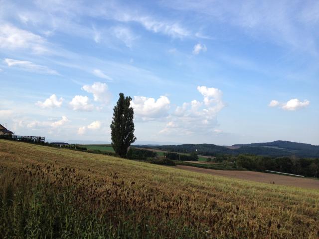 c0105957_22124657.jpg