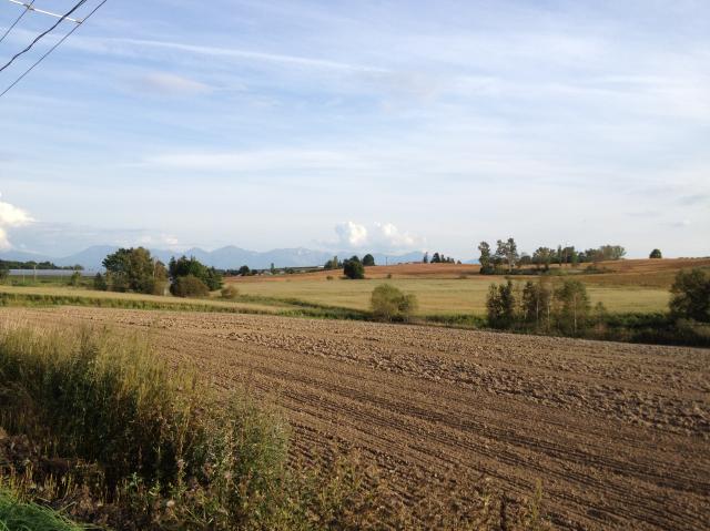 c0105957_22495797.jpg