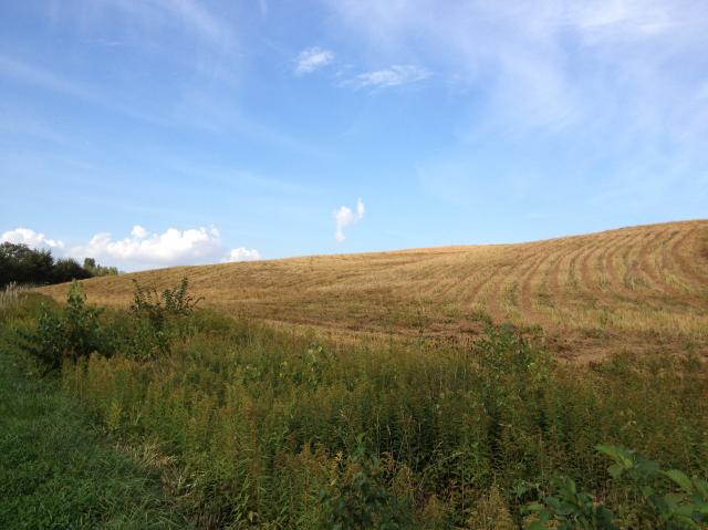 c0105957_2255668.jpg