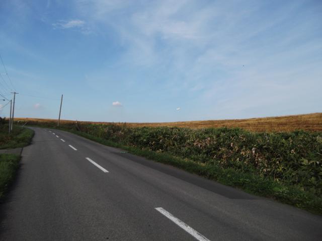c0105957_2281511.jpg