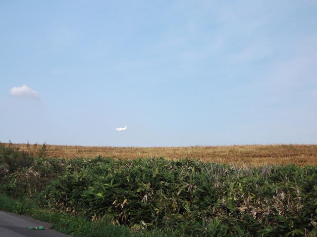 c0105957_2282485.jpg