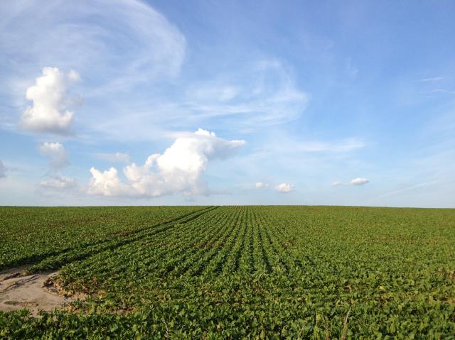 c0105957_2311942.jpg