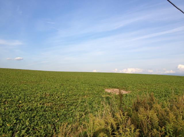 c0105957_2313610.jpg