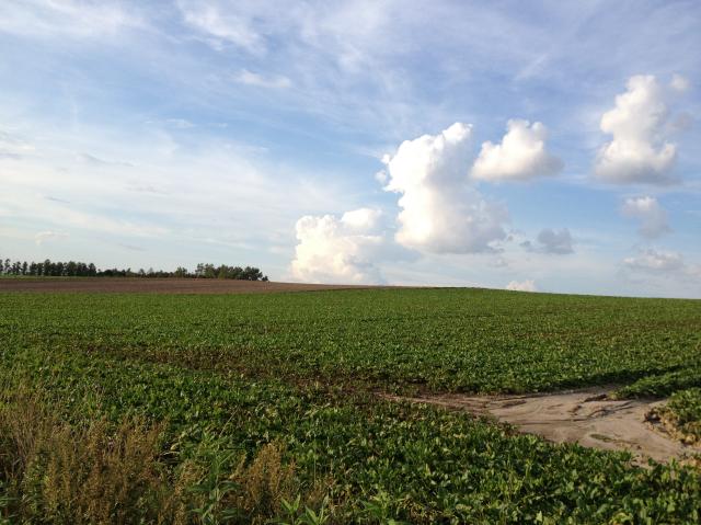 c0105957_2315186.jpg