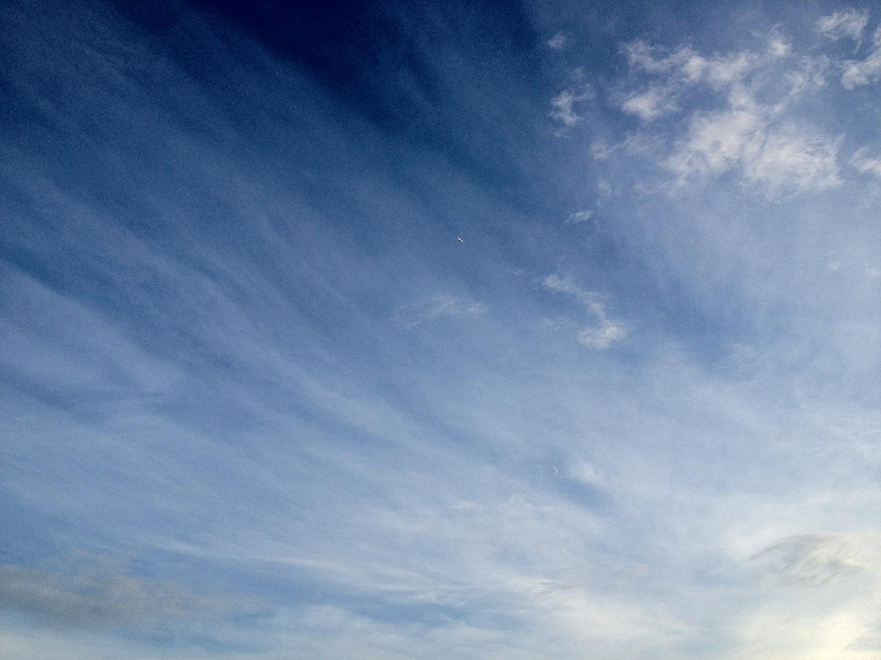 c0105957_23254031.jpg