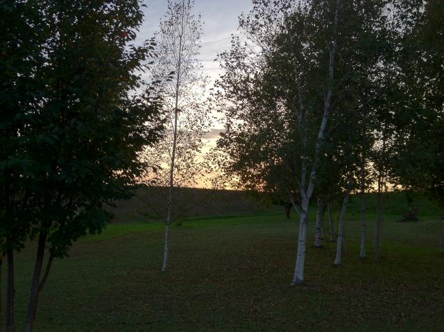 c0105957_23353167.jpg