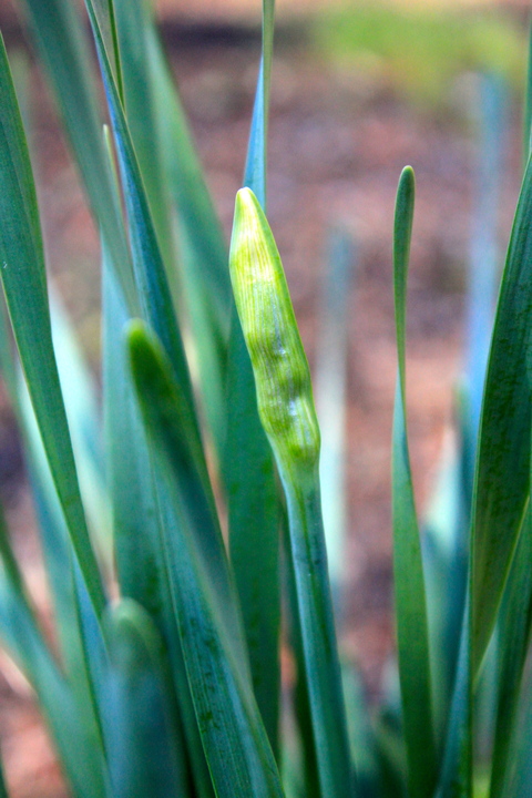 a0248459_615124.jpg