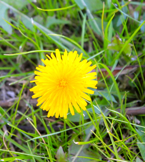 a0248459_623525.jpg