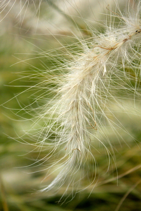 a0248459_634739.jpg