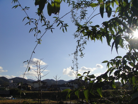 c0108460_178536.jpg
