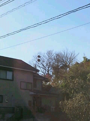 f0222164_12345392.jpg