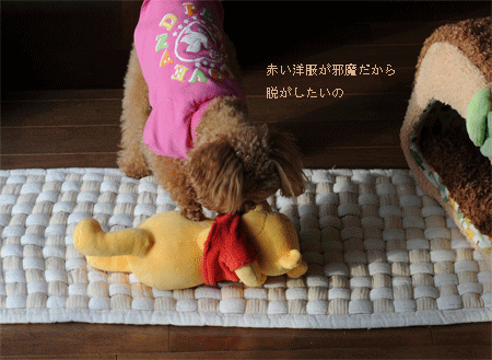 わっぱ弁当　２種_c0196673_7102010.gif