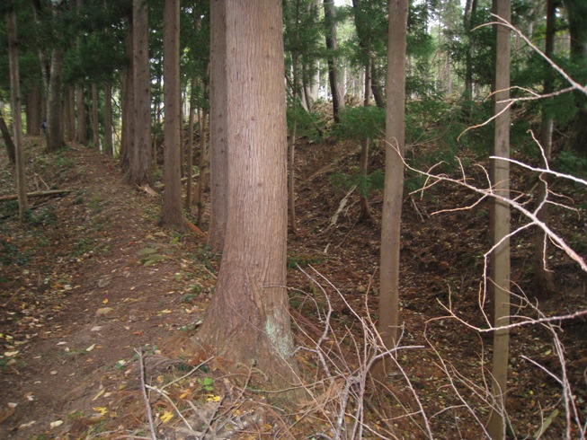 「桑折西山城跡<西舘>」現地説明会の後で_a0087378_512234.jpg