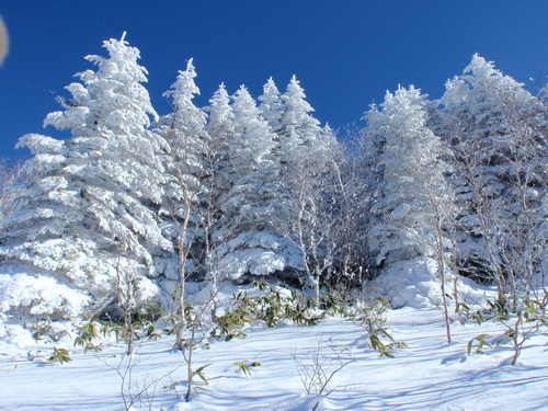 四阿山　敗退_b0067179_19562667.jpg