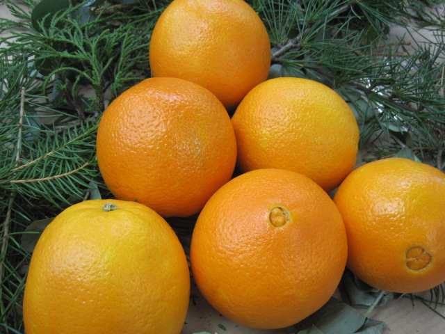 c0205379_875388.jpg