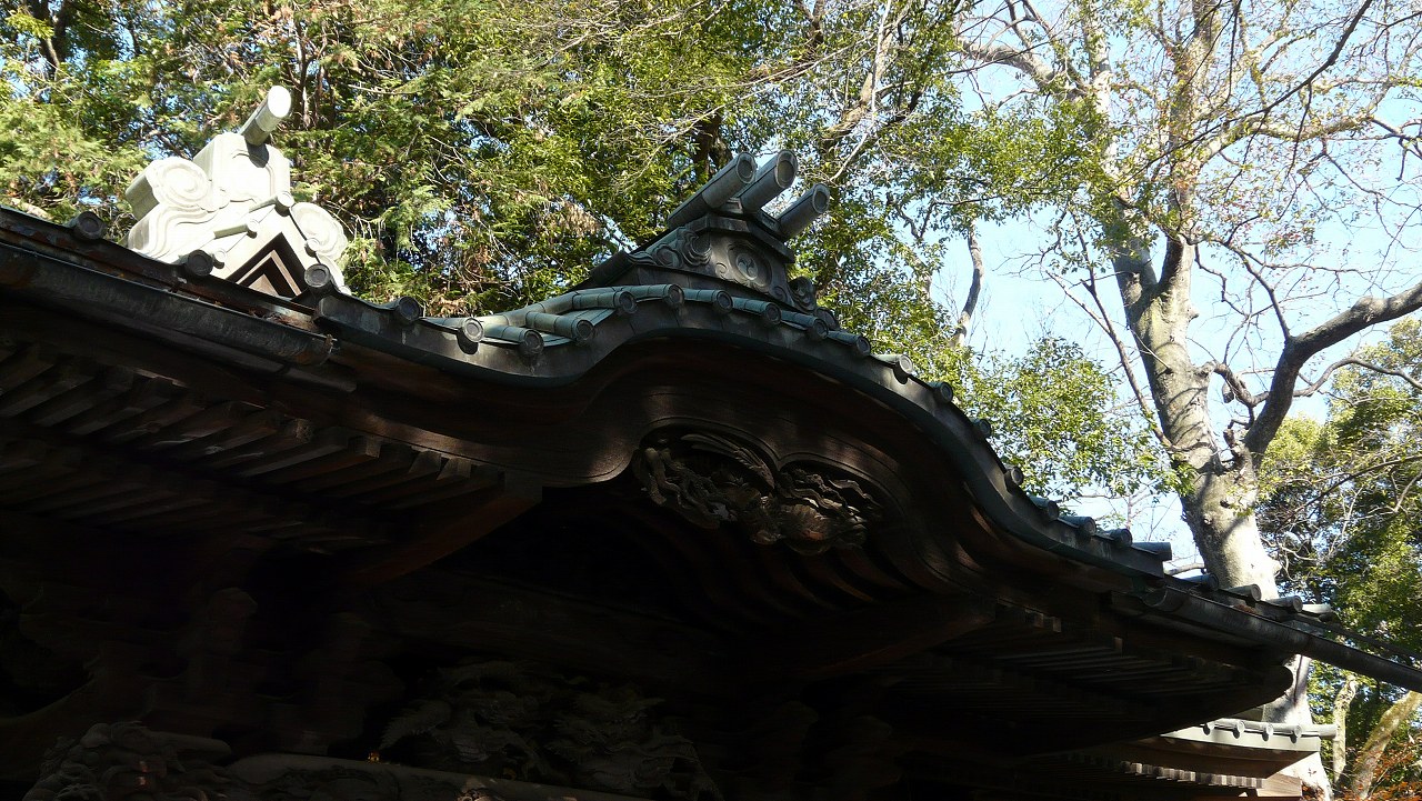 a0185081_1657288.jpg