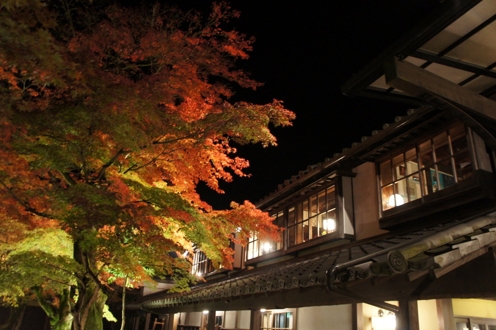 帰国日記@BerlinVol.11 津和野->湯布院_c0180686_22414124.jpg