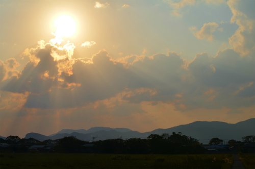 今日は雲が多かった。_e0028387_2128117.jpg