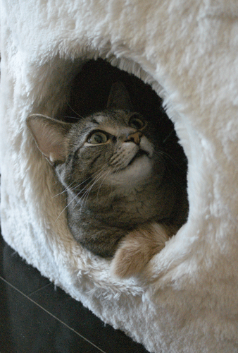 c0193788_1129841.gif