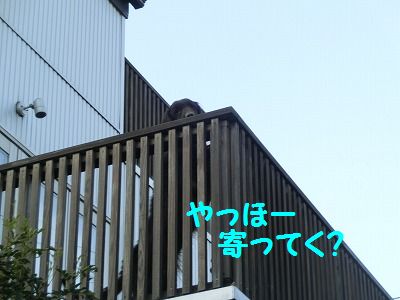 e0222588_17115862.jpg
