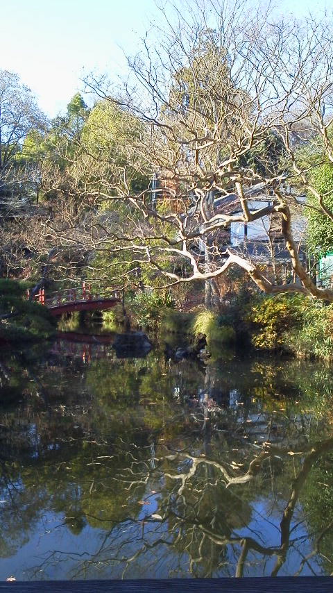 d0034291_2191688.jpg