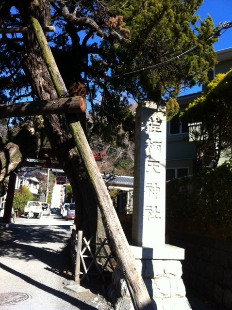 e0123392_2231446.jpg