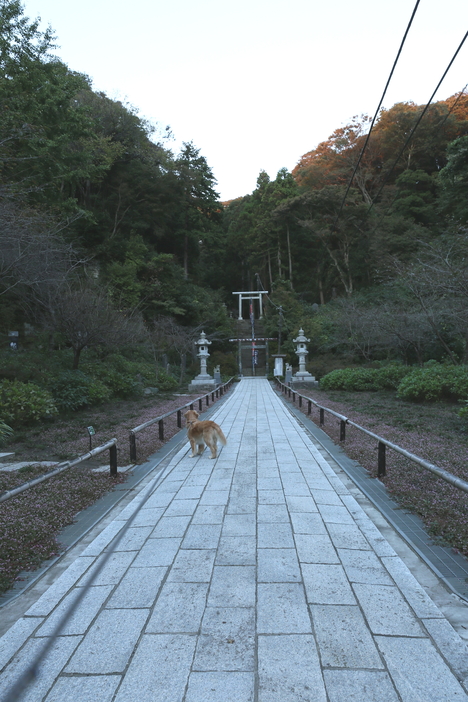 b0275998_1592046.jpg