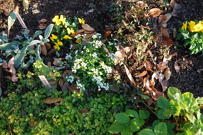 c0124100_1740817.jpg