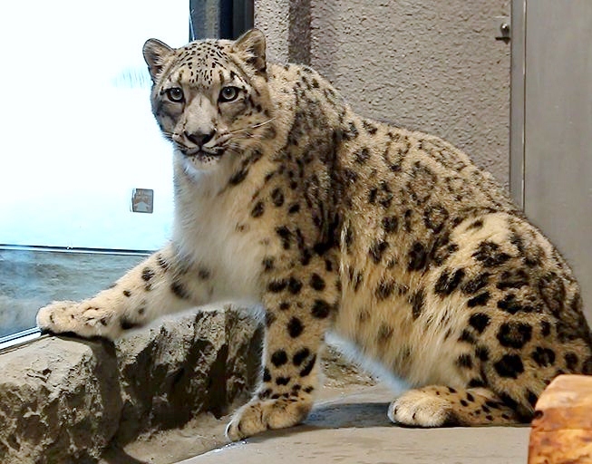 c0155902_204624.jpg